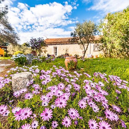 Villa Casa Lilliosa à Campavaglio Extérieur photo
