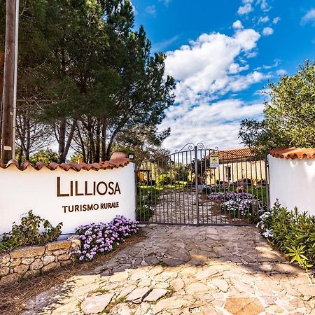 Villa Casa Lilliosa à Campavaglio Extérieur photo