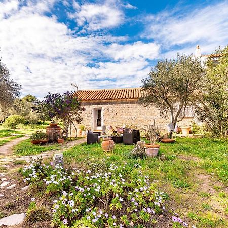 Villa Casa Lilliosa à Campavaglio Extérieur photo